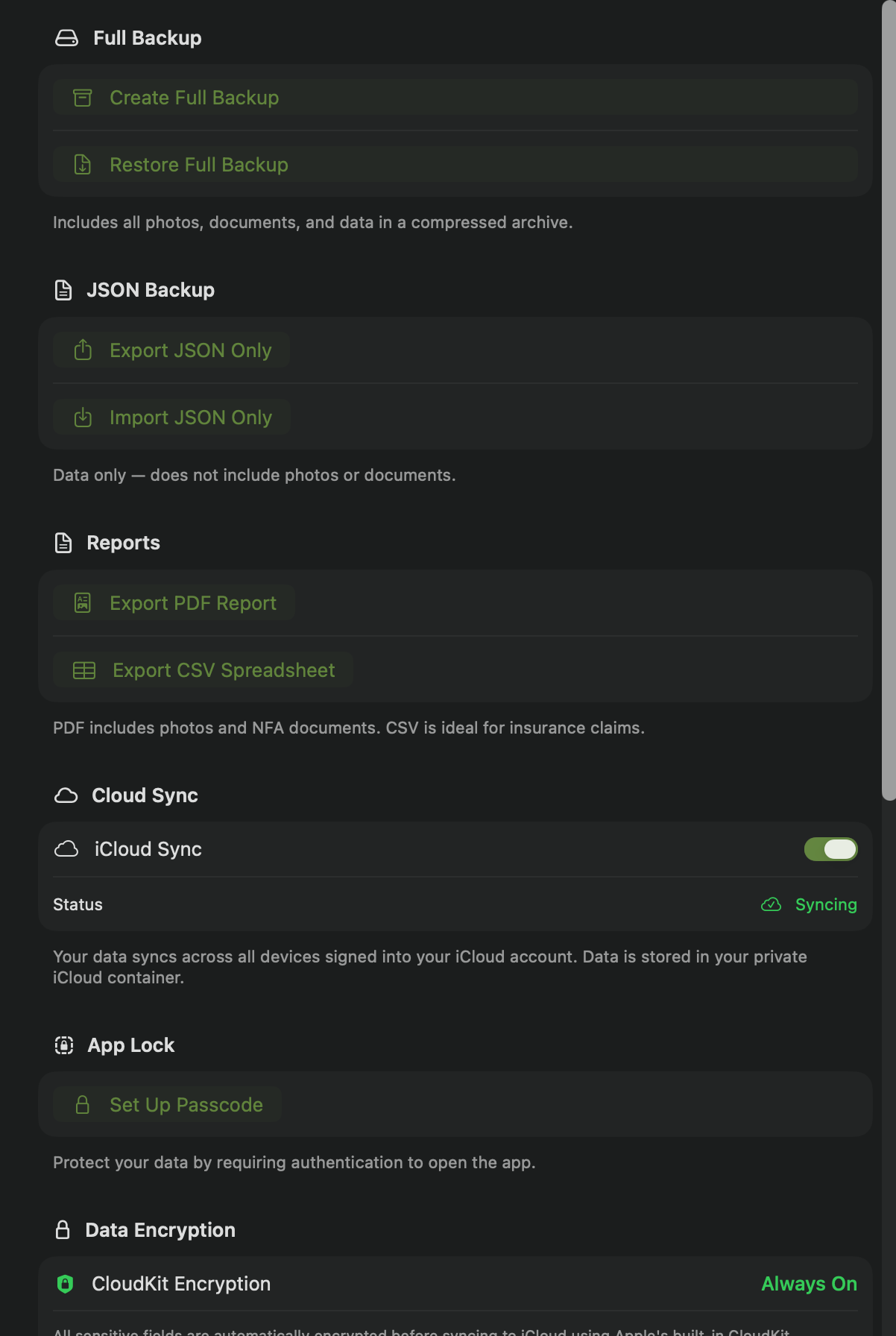 Mac — Settings showing backup, iCloud sync, app lock, and encryption status